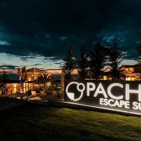 Pachis Escape *